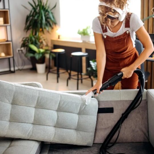 Standard Cleaning